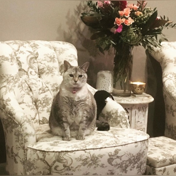 Meet your Posher, Amy Kathleen ๐ Posh Ambassador ๐ - Picture 7 of 10